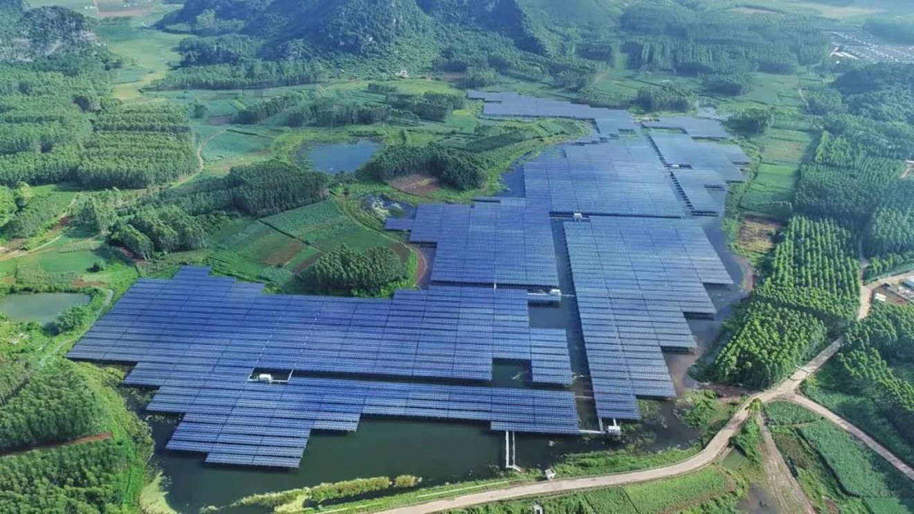 祝贺绿为网站建设成功！